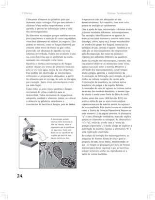 Ciências                                                                            Ensino Fundamental

        Colocamos alimentos na geladeira para que              temperaturas não são adequadas ao seu
        demorem mais a estragar. Por que esse método é         desenvolvimento. Ao contrário, com mais calor,
        eficiente? Para melhor respondermos a essa             podem se multiplicar rapidamente.
        questão, é preciso ter informação sobre a vida         Com a ajuda de lupa, microscópio e diversos testes,
        dos microorganismos.                                   já foram estudados diferentes microorganismos.
        Os alimentos se estragam porque também servem          Por exemplo, identificaram-se os agentes de
        para crescimento e nutrição de certos organismos       doenças nos seres humanos e noutros seres vivos
        vivos bem diferentes de animais ou vegetais. Eles      (sarampo, cólera, raiva etc.). Foram reconhecidos
        podem ser visíveis, como os fungos (bolores) que       os levedos (do grupo dos fungos), essenciais na
        crescem sobre restos de frutos ou pão velho,           produção de pão, cerveja e iogurte. Também já se
        parecendo um chumaço de algodão ou uma                 sabe que os microorganismos são responsáveis
        cobertura esverdeada. Podem ser invisíveis a olho      pela decomposição dos restos de animais e
        nu, como bactérias que se proliferam na carne,         vegetais nos ambientes terrestres ou aquáticos.
        mudando sua coloração e seu cheiro.                    Antes da criação dos microscópios, contudo, não
        Bactérias e formas microscópicas de fungos             era possível observar os minúsculos seres vivos,
        podem chegar aos restos de alimento humano             apenas sua ação sobre a matéria. Observar a
        pelo ar ou pela água, meios de sua dispersão.          atividade dos microorganismos, desde tempos
        Elas podem ser observadas ao microscópio,              muito antigos, permitiu o conhecimento da
        utilizando-se preparações adequadas, a partir          fermentação na fabricação, por exemplo, de pão e
        do alimento que se estraga, do solo ou da água,        vinho, na cultura européia; do cauim, pela
        por exemplo. Seres vivos microscópicos estão           fermentação da mandioca, na cultura nativa
        em todo lugar.                                         brasileira; do pulque e da tequila, bebidas
        Como todos os seres vivos, bactérias e fungos          fermentadas do suco de agaves, na cultura nativa
        necessitam de certas condições para se                 mexicana (no nordeste brasileiro, o mesmo tipo
        desenvolver. Todos necessitam de temperatura           de planta é usada como fonte da fibra de sisal).
        adequada, umidade e alimento. Assim, ao colocar        Assim, antes dos anos 1800 (século XIX), era
        o alimento na geladeira, retardamos o                  aceita a idéia de que os seres vivos surgiam
        crescimento de bactérias e fungos, pois as baixas      espontaneamente da matéria morta, da sujeira e
                                                               da terra molhada. Esta teoria tornou-se conhecida
                                                               como a Teoria da Geração Espontânea. Repare no
                                                               teste número 12 da página anterior. A alternativa
                                                               “a” é uma afirmação verdadeira, mas não explica
                                O microscópio permite          porque os alimentos se estragam. As alternativas
                                observar seres invisíveis ao
                                                               “c” e “d”, estão de acordo com a “teoria da
                                olho nu. Abaixo, vêem-se
                                                               geração espontânea”, o modo antigo de explicar a
                                organismos que se proliferam
                                em água doce. Esses seres
                                                               putrefação da matéria. Apenas a alternativa “b” é
                                fixam-se nas superfícies dos   uma explicação atualizada.
                                vegetais por meio de suas      No campo da biologia dos microorganismos, as
                                hastes, visíveis na foto.      pesquisas de Pasteur foram decisivas para a
                                                               proposta de uma nova teoria, reconhecendo-se
                                                               que os fungos se propagam por meio de formas
                                                               microscópicas (seus esporos) e que as bactérias,
                                                               sempre invisíveis a olho nu, reproduzem-se a
                                                               partir de outras bactérias.




24
 