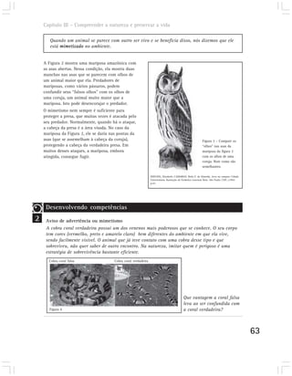 Capítulo III – Compreender a natureza e preservar a vida

       Quando um animal se parece com outro ser vivo e se beneficia disso, nós dizemos que ele
       está mimetizado no ambiente.


    A Figura 2 mostra uma mariposa amazônica com
    as asas abertas. Nessa condição, ela mostra duas
    manchas nas asas que se parecem com olhos de
    um animal maior que ela. Predadores de
    mariposas, como vários pássaros, podem
    confundir seus “falsos olhos” com os olhos de
    uma coruja, um animal muito maior que a
    mariposa. Isto pode desencorajar o predador.
    O mimetismo nem sempre é suficiente para
    proteger a presa, que muitas vezes é atacada pelo
    seu predador. Normalmente, quando há o ataque,
    a cabeça da presa é a área visada. No caso da
    mariposa da Figura 2, ele se daria nas pontas da
    asas (que se assemelham à cabeça da coruja),                                                              Figura 3 – Compare os
    protegendo a cabeça da verdadeira presa. Em                                                               “olhos” nas asas da
    muitos desses ataques, a mariposa, embora                                                                 mariposa da figura 2
    atingida, consegue fugir.                                                                                 com os olhos de uma
                                                                                                              coruja. Note como são
                                                                                                              semelhantes.

                                                                  HOFLING, Elizabeth; CAMARGO, Helio F. de Almeida. Aves no campus: Cidade
                                                                  Universitária. Ilustração de Frederico Lencioni Neto. São Paulo: USP, c1993.
                                                                  p.43.




     Desenvolvendo competências
2    Aviso de advertência ou mimetismo
     A cobra coral verdadeira possui um dos venenos mais poderosos que se conhece. O seu corpo
     tem cores (vermelho, preto e amarelo claro) bem diferentes do ambiente em que ela vive,
     sendo facilmente visível. O animal que já teve contato com uma cobra desse tipo e que
     sobreviveu, não quer saber de outro encontro. Na natureza, imitar quem é perigoso é uma
     estratégia de sobrevivência bastante eficiente.
       Cobra coral falsa                 Cobra coral verdadeira




                                                                                              Que vantagem a coral falsa
                                                                                              leva ao ser confundida com
       Figura 4                                                                               a coral verdadeira?



                                                                                                                                                 63
 