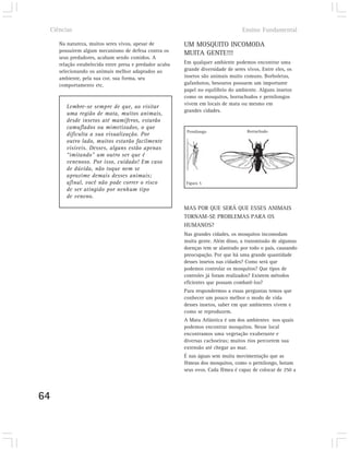 Ciências                                                                         Ensino Fundamental

        Na natureza, muitos seres vivos, apesar de          UM MOSQUITO INCOMODA
        possuírem algum mecanismo de defesa contra os       MUITA GENTE!!!
        seus predadores, acabam sendo comidos. A
        relação estabelecida entre presa e predador acaba   Em qualquer ambiente podemos encontrar uma
        selecionando os animais melhor adaptados ao         grande diversidade de seres vivos. Entre eles, os
        ambiente, pela sua cor, sua forma, seu              insetos são animais muito comuns. Borboletas,
        comportamento etc.                                  gafanhotos, besouros possuem um importante
                                                            papel no equilíbrio do ambiente. Alguns insetos
                                                            como os mosquitos, borrachudos e pernilongos
                                                            vivem em locais de mata ou mesmo em
           Lembre-se sempre de que, ao visitar
                                                            grandes cidades.
           uma região de mata, muitos animais,
           desde insetos até mamíferos, estarão
           camuflados ou mimetizados, o que
                                                             Pernilongo                 Borrachudo
           dificulta a sua visualização. Por
           outro lado, muitos estarão facilmente
           visíveis. Desses, alguns estão apenas
           “imitando” um outro ser que é
           venenoso. Por isso, cuidado! Em caso
           de dúvida, não toque nem se
           aproxime demais desses animais;
           afinal, você não pode correr o risco             Figura 5
           de ser atingido por nenhum tipo
           de veneno.

                                                            MAS POR QUE SERÁ QUE ESSES ANIMAIS
                                                            TORNAM-SE PROBLEMAS PARA OS
                                                            HUMANOS?
                                                            Nas grandes cidades, os mosquitos incomodam
                                                            muita gente. Além disso, a transmissão de algumas
                                                            doenças tem se alastrado por todo o país, causando
                                                            preocupação. Por que há uma grande quantidade
                                                            desses insetos nas cidades? Como será que
                                                            podemos controlar os mosquitos? Que tipos de
                                                            controles já foram realizados? Existem métodos
                                                            eficientes que possam combatê-los?
                                                            Para respondermos a essas perguntas temos que
                                                            conhecer um pouco melhor o modo de vida
                                                            desses insetos, saber em que ambientes vivem e
                                                            como se reproduzem.
                                                            A Mata Atlântica é um dos ambientes nos quais
                                                            podemos encontrar mosquitos. Nesse local
                                                            encontramos uma vegetação exuberante e
                                                            diversas cachoeiras; muitos rios percorrem sua
                                                            extensão até chegar ao mar.
                                                            É nas águas sem muita movimentação que as
                                                            fêmeas dos mosquitos, como o pernilongo, botam
                                                            seus ovos. Cada fêmea é capaz de colocar de 250 a




64
 
