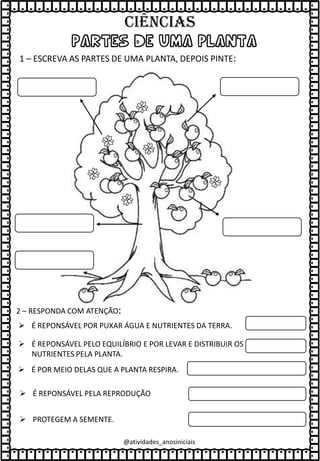 PARTES DE UMA PLANTA
1 – ESCREVA AS PARTES DE UMA PLANTA, DEPOIS PINTE:
C
C
C
C
C
C
2 – RESPONDA COM ATENÇÃO:
➢ É REPONSÁVEL POR PUXAR ÁGUA E NUTRIENTES DA TERRA.
➢ É REPONSÁVEL PELO EQUILÍBRIO E POR LEVAR E DISTRIBUIR OS
NUTRIENTES PELA PLANTA.
➢ É POR MEIO DELAS QUE A PLANTA RESPIRA.
➢ É REPONSÁVEL PELA REPRODUÇÃO
➢ PROTEGEM A SEMENTE.
@atividades_anosiniciais
Ciências
 
