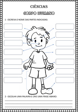 CORPO HUMANO
1 - ESCREVA O NOME DAS PARTES INDICADAS:
2 - ESCOLHA UMA PALAVRA E CRIE UMA FRASE ABAIXO:
____________________________________________________
____________________________________________________
____________________________________________________
@atividades_anosiniciais
Ciências
 