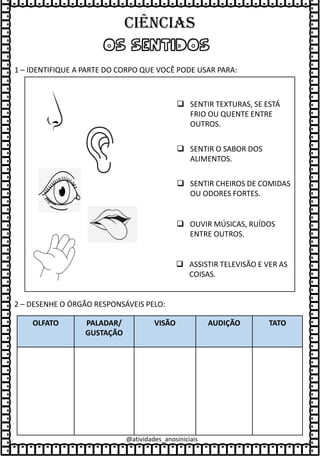 OS SENTIDOS
1 – IDENTIFIQUE A PARTE DO CORPO QUE VOCÊ PODE USAR PARA:
❑ ASSISTIR TELEVISÃO E VER AS
COISAS.
❑ OUVIR MÚSICAS, RUÍDOS
ENTRE OUTROS.
❑ SENTIR CHEIROS DE COMIDAS
OU ODORES FORTES.
❑ SENTIR O SABOR DOS
ALIMENTOS.
❑ SENTIR TEXTURAS, SE ESTÁ
FRIO OU QUENTE ENTRE
OUTROS.
2 – DESENHE O ÓRGÃO RESPONSÁVEIS PELO:
OLFATO PALADAR/
GUSTAÇÃO
VISÃO AUDIÇÃO TATO
@atividades_anosiniciais
Ciências
 