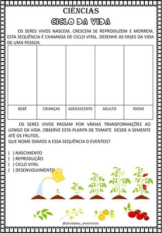 CICLO DA VIDA
OS SERES VIVOS NASCEM, CRESCEM SE REPRODUZEM E MORREM,
ESTA SEQUÊNCIA É CHAMADA DE CICLO VITAL. DESENHE AS FASES DA VIDA
DE UMA PESSOA.
BEBÊ CRIANÇAS ADOLESCENTE ADULTO IDOSO
OS SERES VIVOS PASSAM POR VÁRIAS TRANSFORMAÇÕES AO
LONGO DA VIDA. OBSERVE ESTA PLANTA DE TOMATE DESDE A SEMENTE
ATÉ OS FRUTOS.
QUE NOME DAMOS A ESSA SEQUÊNCIA D EVENTOS?
( ) NASCIMENTO
( ) REPRODUÇÃO
( ) CICLO VITAL
( ) DESENVOLVIMENTO
@atividades_anosiniciais
Ciências
 