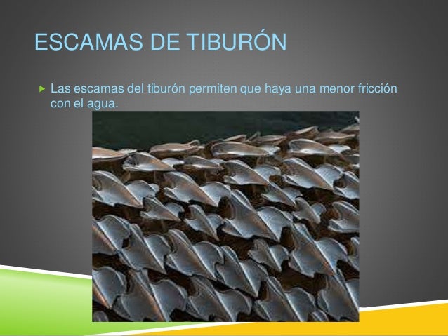 Cienciasinfo