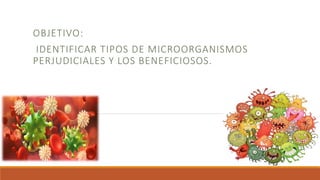 OBJETIVO:
IDENTIFICAR TIPOS DE MICROORGANISMOS
PERJUDICIALES Y LOS BENEFICIOSOS.
 