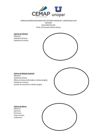 Cia Pool Roteiro CIÊNCIAS MORFOFUNCIONAIS DOS SISTEMAS nervoso e cardiovascular ROTEIRO ...