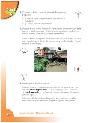 Ciencias Naturales y Educación Ambiental
12
1. Comenten la lectura anterior contestando las siguientes
preguntas:
¿Cómo se siente una persona que tiene malaria o
paludismo?
¿Cómo se transmite el paludismo?
2. De acuerdo con el texto anterior hay varias etapas en la transmisión de la
malaria o paludismo donde participan varios organismos: hombre sano,
hombre enfermo con malaria, Anofeles y Plasmodium.
Traten de hacer un diagrama en el cuaderno de ciencias donde conecten
estos organismos con flechas de manera que se pueda entender cómo se
transmite la enfermedad.
3. Lee el siguiente texto con atención:
Los seres vivos muy pequeños, que no podemos ver a simple vista, los
llamamos microorganismos, porque solo los podemos ver a través
de un microscopio, o con la ayuda de otros instrumentos de aumento
como las lupas.
Entre ellos están las bacterias, las amibas, los paramecios y muchos
seres vivos que se encuentran en el agua de lagunas, ríos y mares.
1.
Guía 1
C
 