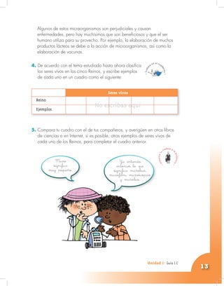 Unidad 1- Guía 1 A
13
Algunos de estos microorganismos son perjudiciales y causan
enfermedades, pero hay muchísimos que son beneficiosos y que el ser
humano utiliza para su provecho. Por ejemplo, la elaboración de muchos
productos lácteos se debe a la acción de microorganismos, así como la
elaboración de vacunas.
4. De acuerdo con el tema estudiado hasta ahora clasifica
los seres vivos en los cinco Reinos, y escribe ejemplos
de cada uno en un cuadro como el siguiente:
5. Compara tu cuadro con el de tus compañeros, y averigüen en otros libros
de ciencias o en Internet, si es posible, otros ejemplos de seres vivos de
cada uno de los Reinos, para completar el cuadro anterior.
Unidad 1- Guía 1 C
No escribas aquíNo escribas aquíNo escribas aquíNo escribas aquíNo escribas aquí
Seres vivos
Reino
Ejemplos
Micro
significa
muy pequeño.
Ya entiendo
entonces lo que
significa microbus,
microfilm, microscópico
y microbio.
 