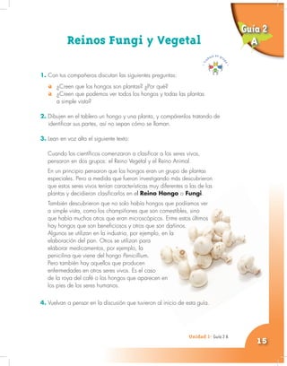 Unidad 1- Guía 1 A
15
Unidad 1- Guía 2 A
Reinos Fungi y Vegetal
1. Con tus compañeros discutan las siguientes preguntas:
¿Creen que los hongos son plantas? ¿Por qué?
¿Creen que podemos ver todos los hongos y todas las plantas
a simple vista?
2. Dibujen en el tablero un hongo y una planta, y compárenlos tratando de
identificar sus partes, así no sepan cómo se llaman.
3. Lean en voz alta el siguiente texto:
Cuando los científicos comenzaron a clasificar a los seres vivos,
pensaron en dos grupos: el Reino Vegetal y el Reino Animal.
En un principio pensaron que los hongos eran un grupo de plantas
especiales. Pero a medida que fueron investigando más descubrieron
que estos seres vivos tenían características muy diferentes a las de las
plantas y decidieron clasificarlos en el Reino Hongo o Fungi.
También descubrieron que no solo había hongos que podíamos ver
a simple vista, como los champiñones que son comestibles, sino
que había muchos otros que eran microscópicos. Entre estos últimos
hay hongos que son beneficiosos y otros que son dañinos.
Algunos se utilizan en la industria, por ejemplo, en la
elaboración del pan. Otros se utilizan para
elaborar medicamentos, por ejemplo, la
penicilina que viene del hongo Penicillium.
Pero también hay aquellos que producen
enfermedades en otros seres vivos. Es el caso
de la roya del café o los hongos que aparecen en
los pies de los seres humanos.
4. Vuelvan a pensar en la discusión que tuvieron al inicio de esta guía.
Guía 2
A
 