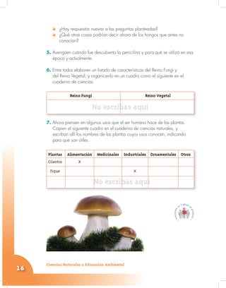 Ciencias Naturales y Educación Ambiental
16
¿Hay respuestas nuevas a las preguntas planteadas?
¿Qué otras cosas podrían decir ahora de los hongos que antes no
conocían?
5. Averigüen cuándo fue descubierta la penicilina y para qué se utilizó en esa
época y actualmente.
6. Entre todos elaboren un listado de características del Reino Fungi y
del Reino Vegetal, y organícenlo en un cuadro como el siguiente en el
cuaderno de ciencias:
Reino Fungi Reino Vegetal
No escribas aquí
7. Ahora piensen en algunos usos que el ser humano hace de las plantas.
Copien el siguiente cuadro en el cuaderno de ciencias naturales, y
escriban allí los nombres de las plantas cuyos usos conocen, indicando
para qué son útiles.
Plantas Alimentación Medicinales Industriales Ornamentales Otros
Cilantro X
Fique X
No escribas aquí
 