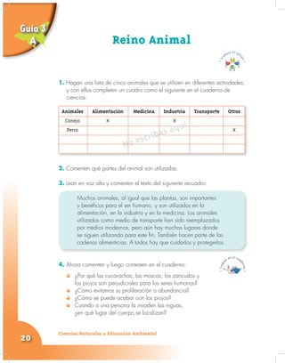 Ciencias Naturales y Educación Ambiental
20
1. Hagan una lista de cinco animales que se utilicen en diferentes actividades,
y con ellos completen un cuadro como el siguiente en el cuaderno de
ciencias:
Reino Animal
Animales Alimentación Medicina Industria Transporte Otros
Conejo X X
Perro X
No escribas aquí
2. Comenten qué partes del animal son utilizadas.
3. Lean en voz alta y comenten el texto del siguiente recuadro:
Muchos animales, al igual que las plantas, son importantes
y benéficos para el ser humano, y son utilizados en la
alimentación, en la industria y en la medicina. Los animales
utilizados como medio de transporte han sido reemplazados
por medios modernos, pero aún hay muchos lugares donde
se siguen utilizando para este fin. También hacen parte de las
cadenas alimenticias. A todos hay que cuidarlos y protegerlos.
4. Ahora comenten y luego contesten en el cuaderno:
¿Por qué las cucarachas, las moscas, los zancudos y
los piojos son perjudiciales para los seres humanos?
¿Cómo evitamos su proliferación o abundancia?
¿Cómo se puede acabar con los piojos?
Cuando a una persona la invaden las niguas,
¿en qué lugar del cuerpo se localizan?
Guía 3
A
 