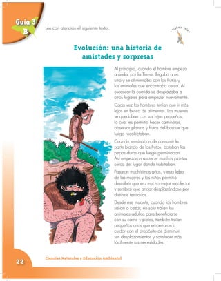 Ciencias Naturales y Educación Ambiental
22
Lee con atención el siguiente texto:
Evolución: una historia de
amistades y sorpresas
Al principio, cuando el hombre empezó
a andar por la Tierra, llegaba a un
sitio y se alimentaba con los frutos y
los animales que encontraba cerca. Al
escasear la comida se desplazaba a
otros lugares para empezar nuevamente.
Cada vez los hombres tenían que ir más
lejos en busca de alimentos. Las mujeres
se quedaban con sus hijos pequeños,
lo cual les permitía hacer caminatas,
observar plantas y frutos del bosque que
luego recolectaban.
Cuando terminaban de consumir la
parte blanda de los frutos, botaban las
pepas duras que luego germinaban.
Así empezaron a crecer muchas plantas
cerca del lugar donde habitaban.
Pasaron muchísimos años, y esta labor
de las mujeres y los niños permitió
descubrir que era mucho mejor recolectar
y sembrar que andar desplazándose por
distintos territorios.
Desde ese instante, cuando los hombres
salían a cazar, no sólo traían los
animales adultos para beneficiarse
con su carne y pieles, también traían
pequeños críos que empezaron a
cuidar con el propósito de disminuir
sus desplazamientos y satisfacer más
fácilmente sus necesidades.
Lee con atención el siguiente texto:
Guía 3
B
 