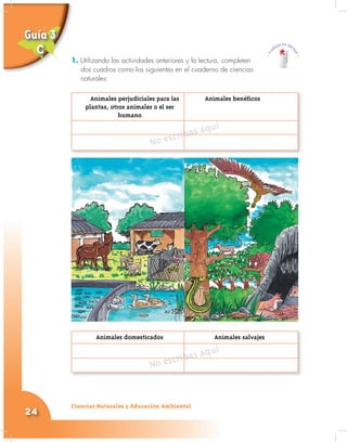 Ciencias Naturales y Educación Ambiental
24
1. Utilizando las actividades anteriores y la lectura, completen
dos cuadros como los siguientes en el cuaderno de ciencias
naturales:
Animales domesticados Animales salvajes
No escribas aquí
Animales perjudiciales para las Animales benéficos
plantas, otros animales o el ser
humano
No escribas aquí
1.
Guía 3
C
 