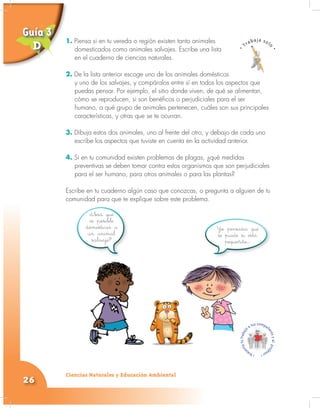 Ciencias Naturales y Educación Ambiental
26
1. Piensa si en tu vereda o región existen tanto animales
domesticados como animales salvajes. Escribe una lista
en el cuaderno de ciencias naturales.
2. De la lista anterior escoge uno de los animales domésticos
y uno de los salvajes, y compáralos entre sí en todos los aspectos que
puedas pensar. Por ejemplo, el sitio donde viven, de qué se alimentan,
cómo se reproducen, si son benéficos o perjudiciales para el ser
humano, a qué grupo de animales pertenecen, cuáles son sus principales
características, y otras que se te ocurran.
3. Dibuja estos dos animales, uno al frente del otro, y debajo de cada uno
escribe los aspectos que tuviste en cuenta en la actividad anterior.
4. Si en tu comunidad existen problemas de plagas, ¿qué medidas
preventivas se deben tomar contra estos organismos que son perjudiciales
para el ser humano, para otros animales o para las plantas?
Escribe en tu cuaderno algún caso que conozcas, o pregunta a alguien de tu
comunidad para que te explique sobre este problema.
Yo pensaría que
se puede si está
pequeñito…
¿Será que
es posible
domesticar a
un animal
salvaje?
1.
Guía 3
D
 