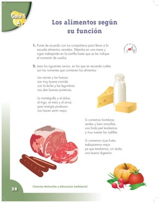 Ciencias Naturales y Educación Ambiental
38
1. Ponte de acuerdo con tus compañeros para llevar a la
escuela alimentos variados. Déjenlos en una mesa y
sigan trabajando en la cartilla hasta que se les indique
el momento de usarlos.
2. Lean los siguientes versos, en los que se recuerda cuáles
son los nutrientes que contienen los alimentos:
Los alimentos según
su función
Las carnes y los huevos
son muy buena comida
con la leche y las legumbres
nos dan buenas proteínas.
La mantequilla y el dulce,
el trigo, el maíz y el arroz,
gran energía producen,
nos hacen sentir mejor.
Si comemos hortalizas
verdes y bien amarillas,
una linda piel tendremos
y muy suaves las rodillas.
Si comemos ricas frutas
trabajaremos mejor
ya que tendremos, sin duda,
una buena digestión.
Guía 5
A
 