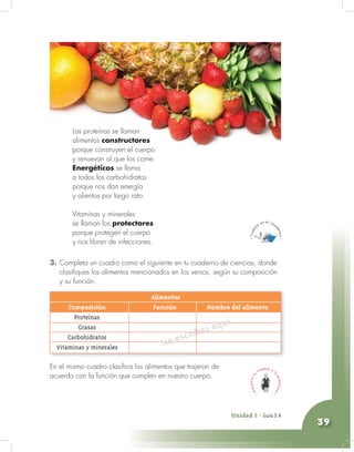 Unidad 2 - Guía 4 A
3939
3. Completa un cuadro como el siguiente en tu cuaderno de ciencias, donde
clasifiques los alimentos mencionados en los versos, según su composición
y su función.
Las proteínas se llaman
alimentos constructores
porque construyen el cuerpo
y renuevan al que los come.
Energéticos se llama
a todos los carbohidratos
porque nos dan energía
y alientos por largo rato.
Vitaminas y minerales
se llaman los protectores
porque protegen el cuerpo
y nos libran de infecciones.
En el mismo cuadro clasifica los alimentos que trajeron de
acuerdo con la función que cumplen en nuestro cuerpo.
Alimentos
Composición Función Nombre del alimento
Proteínas
Grasas
Carbohidratos
Vitaminas y minerales No escribas aquí
Unidad 2 - Guía 5 A
 