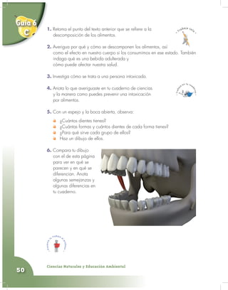 Ciencias Naturales y Educación Ambiental
50
1. Retoma el punto del texto anterior que se refiere a la
descomposición de los alimentos.
2. Averigua por qué y cómo se descomponen los alimentos, así
como el efecto en nuestro cuerpo si los consumimos en ese estado. También
indaga qué es una bebida adulterada y
cómo puede afectar nuestra salud.
3. Investiga cómo se trata a una persona intoxicada.
4. Anota lo que averiguaste en tu cuaderno de ciencias
y la manera como puedes prevenir una intoxicación
por alimentos.
5. Con un espejo y la boca abierta, observa:
¿Cuántos dientes tienes?
¿Cuántas formas y cuántos dientes de cada forma tienes?
¿Para qué sirve cada grupo de ellos?
Haz un dibujo de ellos.
6. Compara tu dibujo
con el de esta página
para ver en qué se
parecen y en qué se
diferencian. Anota
algunas semejanzas y
algunas diferencias en
tu cuaderno.
1.
2.
Guía 6
C
 