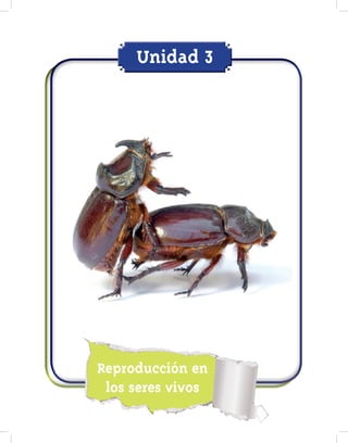 Unidad 3
Reproducción en
los seres vivos
 