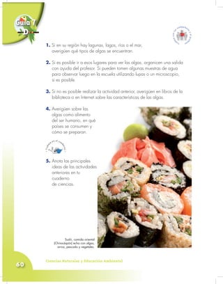 Ciencias Naturales y Educación Ambiental
60
1. Si en su región hay lagunas, lagos, ríos o el mar,
averigüen qué tipos de algas se encuentran.
2. Si es posible ir a esos lugares para ver las algas, organicen una salida
con ayuda del profesor. Si pueden tomen algunas muestras de agua
para observar luego en la escuela utilizando lupas o un microscopio,
si es posible.
3. Si no es posible realizar la actividad anterior, averigüen en libros de la
biblioteca o en Internet sobre las características de las algas.
4. Averigüen sobre las
algas como alimento
del ser humano, en qué
países se consumen y
cómo se preparan.
5. Anota las principales
ideas de las actividades
anteriores en tu
cuaderno
de ciencias.
1.
Guía 7
D
Sushi, comida oriental
(China-Japón) echa con algas,
arroz, pescado y vegetales.
 