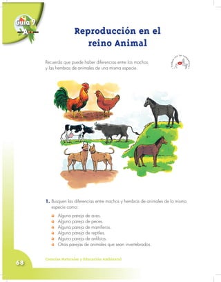 Ciencias Naturales y Educación Ambiental
68
Recuerda que puede haber diferencias entre los machos
y las hembras de animales de una misma especie.
Reproducción en el
reino Animal
1. Busquen las diferencias entre machos y hembras de animales de la misma
especie como:
Alguna pareja de aves.
Alguna pareja de peces.
Alguna pareja de mamíferos.
Alguna pareja de reptiles.
Alguna pareja de anfibios.
Otras parejas de animales que sean invertebrados.
Guía 9
A
 