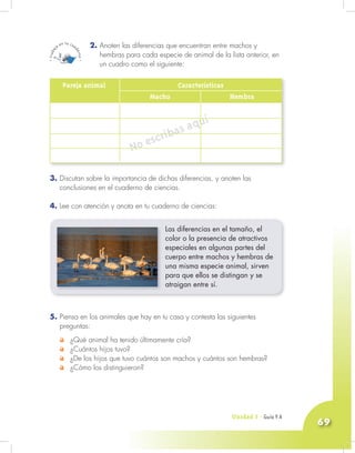 Unidad 3 - Guía 7 A
69
2. Anoten las diferencias que encuentran entre machos y
hembras para cada especie de animal de la lista anterior, en
un cuadro como el siguiente:
3. Discutan sobre la importancia de dichas diferencias, y anoten las
conclusiones en el cuaderno de ciencias.
4. Lee con atención y anota en tu cuaderno de ciencias:
Las diferencias en el tamaño, el
color o la presencia de atractivos
especiales en algunas partes del
cuerpo entre machos y hembras de
una misma especie animal, sirven
para que ellos se distingan y se
atraigan entre sí.
5. Piensa en los animales que hay en tu casa y contesta las siguientes
preguntas:
¿Qué animal ha tenido últimamente cría?
¿Cuántos hijos tuvo?
¿De los hijos que tuvo cuántos son machos y cuántos son hembras?
¿Cómo los distinguieron?
Pareja animal Características
Macho Hembra
No escribas aquí
Unidad 3 - Guía 9 A
 