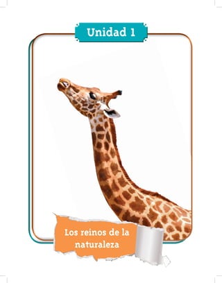 Los reinos de la
naturaleza
Unidad 1
 