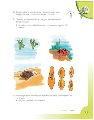 Unidad 3 - Guía 7 A
75
1. Discutan sobre la lectura anterior y comenten sobre otros
ejemplos de selección de animales que conozcan.
2. Observen los siguientes dibujos y hagan una clasificación
de esta manera:
Animales con reproducción sexual y animales con reproducción
asexual.
Unidad 3 - Guía 9 C
3. Tomen el grupo de animales con reproducción sexual y clasifíquenlos en
tres grupos:
vivíparos, ovíparos y ovovivíparos.
Guía 9
C
 