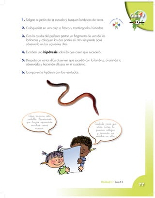 Unidad 3 - Guía 7 A
77
1. Salgan al jardín de la escuela y busquen lombrices de tierra.
2. Colóquenlas en una caja o frasco y manténganlas húmedas.
3. Con la ayuda del profesor partan un fragmento de una de las
lombrices y coloquen las dos partes en otro recipiente para
observarlo en los siguientes días.
4. Escriban una hipótesis sobre lo que creen que sucederá.
5. Después de varios días observen qué sucedió con la lombriz, anotando lo
observado y haciendo dibujos en el cuaderno.
6. Comparen la hipótesis con los resultados.
Aquí termina esta
cartilla. Esperamos
que hayas aprendido
muchas cosas
nuevas.
Cuídala para que
otros niños la
puedan utilizar
y recuerda no
escribir en ella.
Unidad 3 - Guía 9 D
Guía 9
D
 