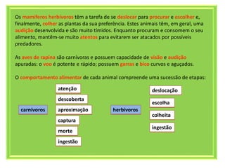 Os mamíferos herbívoros têm a tarefa de se deslocar para procurar e escolher e,
finalmente, colher as plantas da sua preferência. Estes animais têm, em geral, uma
audição desenvolvida e são muito tímidos. Enquanto procuram e consomem o seu
alimento, mantêm-se muito atentos para evitarem ser atacados por possíveis
predadores.
As aves de rapina são carnívoras e possuem capacidade de visão e audição
apuradas: o voo é potente e rápido; possuem garras e bico curvos e aguçados.
O comportamento alimentar de cada animal compreende uma sucessão de etapas:
atenção
descoberta
aproximação
captura
morte
ingestão
carnívoros herbívoros
deslocação
escolha
colheita
ingestão
 
