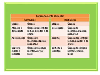 Comportamento alimentar
Carnívoros
Etapas Órgãos
Atenção e
descoberta
Órgãos dos sentidos
(olhos, ouvidos e do
olfato)
Aproximação Órgãos de
locomoção (patas,
asas, etc.)
Captura,
morte e
ingestão
Órgãos de captura
(dentes, garras,
bico)
Herbívoros
Etapas Órgãos
Deslocação Órgãos de
locomoção (patas,
asas, etc.)
Escolha Órgãos dos sentidos
(olhos, ouvidos e do
olfato)
Colheita e
ingestão
Órgãos de colheita
(dentes, língua,
bico)
 