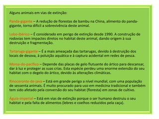 Alguns animais em vias de extinção:
Panda-gigante – A redução de florestas de bambu na China, alimento do panda-
gigante, torna difícil a sobrevivência deste animal.
Lobo-ibérico – É considerado em perigo de extinção desde 1990. A construção de
rodovias tem impactes diretos no habitat deste animal, dando origem à sua
destruição e fragmentação.
Tartaruga-gigante – É a mais ameaçada das tartarugas, devido à destruição dos
locais de desova, à poluição aquática e à captura acidental em redes de pesca.
Morsa-do-pacífico – Depende das placas de gelo flutuante do ártico para descansar,
dar à luz e proteger as suas crias. Esta espécie perdeu uma enorme extensão do seu
habitat com o degelo do ártico, devido às alterações climáticas.
Rinoceronte-de-java – Está em grande perigo a nível mundial, com uma população
de sessenta animais. É muito procurado para uso em medicina tradicional e também
tem sido afetado pela conversão do seu habitat (floresta) em zonas de cultivo.
Águia-imperial – Está em vias de extinção porque o ser humano destruiu o seu
habitat e pela falta de alimentos (lebres e coelhos reduzidos pela caça).
 