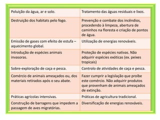 Poluição da água, ar e solo. Tratamento das águas residuais e lixos.
Destruição dos habitats pelo fogo. Prevenção e combate dos incêndios,
procedendo à limpeza, abertura de
caminhos na floresta e criação de pontos
de água.
Emissão de gases com efeito de estufa –
aquecimento global.
Utilização de energias renováveis.
Introdução de espécies animais
invasoras.
Proteção de espécies nativas. Não
adquirir espécies exóticas (ex. peixes
tropicais)
Sobre-exploração de caça e pesca. Controlo de atividades de caça e pesca.
Comércio de animais ameaçados ou, dos
materiais retirados após o seu abate.
Fazer cumprir a legislação que proíbe
este comércio. Não adquirir produtos
que provenham de animais ameaçados
de extinção.
Práticas agrícolas intensivas. Práticas de agricultura tradicional.
Construção de barragens que impedem a
passagem de aves migratórias.
Diversificação de energias renováveis.
 