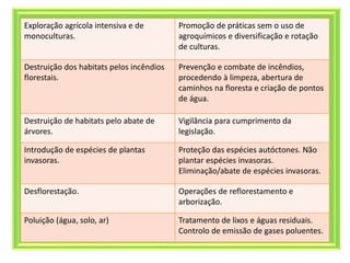 Exploração agrícola intensiva e de
monoculturas.
Promoção de práticas sem o uso de
agroquímicos e diversificação e rotação
de culturas.
Destruição dos habitats pelos incêndios
florestais.
Prevenção e combate de incêndios,
procedendo à limpeza, abertura de
caminhos na floresta e criação de pontos
de água.
Destruição de habitats pelo abate de
árvores.
Vigilância para cumprimento da
legislação.
Introdução de espécies de plantas
invasoras.
Proteção das espécies autóctones. Não
plantar espécies invasoras.
Eliminação/abate de espécies invasoras.
Desflorestação. Operações de reflorestamento e
arborização.
Poluição (água, solo, ar) Tratamento de lixos e águas residuais.
Controlo de emissão de gases poluentes.
 