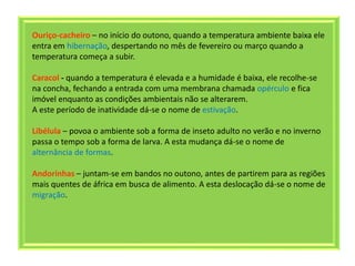 Ouriço-cacheiro – no início do outono, quando a temperatura ambiente baixa ele
entra em hibernação, despertando no mês de fevereiro ou março quando a
temperatura começa a subir.
Caracol - quando a temperatura é elevada e a humidade é baixa, ele recolhe-se
na concha, fechando a entrada com uma membrana chamada opérculo e fica
imóvel enquanto as condições ambientais não se alterarem.
A este período de inatividade dá-se o nome de estivação.
Libélula – povoa o ambiente sob a forma de inseto adulto no verão e no inverno
passa o tempo sob a forma de larva. A esta mudança dá-se o nome de
alternância de formas.
Andorinhas – juntam-se em bandos no outono, antes de partirem para as regiões
mais quentes de áfrica em busca de alimento. A esta deslocação dá-se o nome de
migração.
 