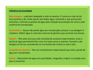 Influência da humidade
Rato-canguru – está bem adaptado à vida no deserto. É noturno e não sai da
toca durante o dia. Pode passar sem beber água, extraindo a que precisa dos
alimentos. Controla as perdas de água pela redução da produção de urina e pela
ausência de transpiração.
Dromedário – Quase não perde água por transpiração, porque a sua pelagem é
isoladora. Obtém água à custa das reservas de gordura que acumula nas bossas.
Répteis – Têm pele seca que está revestida de escamas impermeáveis, evita a
perda de água permitindo-lhes viver em locais secos e quentes. Durante o dia
abrigam-se do sol, escondendo-se nas fendas das rochas ou sob o solo.
Escorpião-do-deserto – Tem um revestimento impermeável que evita a perda de
água por transpiração.
Zebras – Necessitam de água em quantidade, chegando a migrar na estação seca
para a encontrar.
 