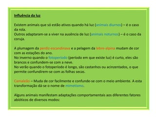 Influência da luz
Existem animais que só estão ativos quando há luz (animais diurnos) – é o caso
da rola.
Outros adaptaram-se a viver na ausência de luz (animais noturnos) – é o caso da
coruja.
A plumagem da perdiz-escandinava e a pelagem da lebre-alpina mudam de cor
com as estações do ano.
No inverno quando o fotoperíodo (período em que existe luz) é curto, eles são
brancos e confundem-se com a neve.
No verão quando o fotoperíodo é longo, são castanhos ou acinzentados, o que
permite confundirem-se com as folhas secas.
Camaleão – Muda de cor facilmente e confunde-se com o meio ambiente. A esta
transformação dá-se o nome de mimetismo.
Alguns animais manifestam adaptações comportamentais aos diferentes fatores
abióticos de diversos modos:
 