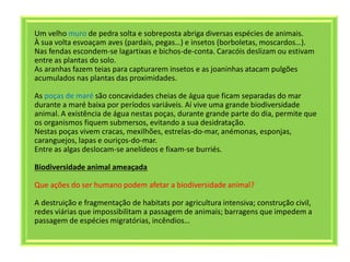 Um velho muro de pedra solta e sobreposta abriga diversas espécies de animais.
À sua volta esvoaçam aves (pardais, pegas…) e insetos (borboletas, moscardos…).
Nas fendas escondem-se lagartixas e bichos-de-conta. Caracóis deslizam ou estivam
entre as plantas do solo.
As aranhas fazem teias para capturarem insetos e as joaninhas atacam pulgões
acumulados nas plantas das proximidades.
As poças de maré são concavidades cheias de água que ficam separadas do mar
durante a maré baixa por períodos variáveis. Aí vive uma grande biodiversidade
animal. A existência de água nestas poças, durante grande parte do dia, permite que
os organismos fiquem submersos, evitando a sua desidratação.
Nestas poças vivem cracas, mexilhões, estrelas-do-mar, anémonas, esponjas,
caranguejos, lapas e ouriços-do-mar.
Entre as algas deslocam-se anelídeos e fixam-se burriés.
Biodiversidade animal ameaçada
Que ações do ser humano podem afetar a biodiversidade animal?
A destruição e fragmentação de habitats por agricultura intensiva; construção civil,
redes viárias que impossibilitam a passagem de animais; barragens que impedem a
passagem de espécies migratórias, incêndios…
 