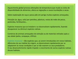 Aquecimento global provoca alterações da temperatura que muda os ciclos de
disponibilidade de alimentos, altera as migrações e causa inundações e secas.
Sobre-exploração de caça e pesca põe em perigo muitas espécies ameaçadas.
Poluição (ar, água, solo) por petróleo, plásticos, restos de redes de pesca,
pesticidas, fertilizantes…
Espécies invasoras que se instalam e se desenvolvem rapidamente, fazendo
desaparecer ou diminuir espécies nativas.
Comércio de animais ameaçados de extinção ou de materiais retirados após o
seu abate (peles, carapaças, chifres).
Espécies invasoras – São espécies que, ao serem introduzidas em novos habitats,
diferentes do seu habitat de origem, se desenvolvem rapidamente por se
adaptarem às novas condições e por aí não estarem os seus predadores.
O seu desenvolvimento rápido impede o crescimento de outras espécies nativas
desses habitats.
 