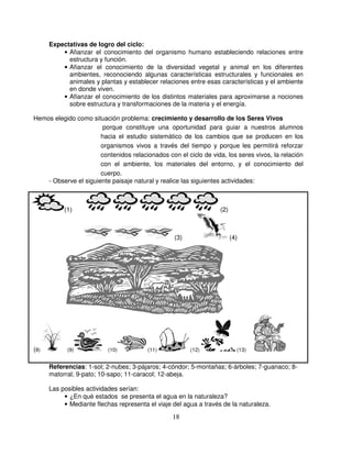 Expectativas de logro del ciclo:
          • Afianzar el conocimiento del organismo humano estableciendo relaciones entre
            estructura y función.
          • Afianzar el conocimiento de la diversidad vegetal y animal en los diferentes
            ambientes, reconociendo algunas características estructurales y funcionales en
            animales y plantas y establecer relaciones entre esas características y el ambiente
            en donde viven.
          • Afianzar el conocimiento de los distintos materiales para aproximarse a nociones
            sobre estructura y transformaciones de la materia y el energía.

Hemos elegido como situación problema: crecimiento y desarrollo de los Seres Vivos
                        porque constituye una oportunidad para guiar a nuestros alumnos
                       hacia el estudio sistemático de los cambios que se producen en los
                       organismos vivos a través del tiempo y porque les permitirá reforzar
                       contenidos relacionados con el ciclo de vida, los seres vivos, la relación
                       con el ambiente, los materiales del entorno, y el conocimiento del
                       cuerpo.
    - Observe el siguiente paisaje natural y realice las siguientes actividades:



           (1)                                                     (2)



                                                  (3)                    (4)




(8)         (9)            (10)          (11)           (12)               (13)


      Referencias: 1-sol; 2-nubes; 3-pájaros; 4-cóndor; 5-montañas; 6-árboles; 7-guanaco; 8-
      matorral; 9-pato; 10-sapo; 11-caracol; 12-abeja.

      Las posibles actividades serían:
           • ¿En qué estados se presenta el agua en la naturaleza?
           • Mediante flechas representa el viaje del agua a través de la naturaleza.

                                                  18
 