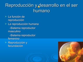 Reproducción y desarrollo en el ser
            humano
   La función de
    reproducción
   La reproducción humana
     -Sistema reproductor
    masculino
     -Sistema reproductor
    femenino
   Reproducción y
    fecundación
 