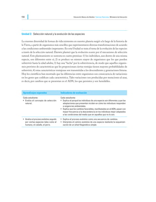 154                                                      Educación Básica de Adultos Ciencias Naturales Ministerio de Educación




Unidad 2:	 Selección natural y la evolución de las especies

La enorme diversidad de formas de vida existentes en nuestro planeta surgió a lo largo de la historia de
la Tierra, a partir de organismos más sencillos que experimentaron diversas transformaciones de acuerdo
a las condiciones ambientales imperantes. En esta Unidad se trata el tema de la evolución de las especies
a través de la selección natural. Darwin planteó que la evolución ocurre por el mecanismo de selección
natural. Este planteamiento se sustenta en cuatro premisas: 1) los individuos, aun dentro de una misma
especie, son diferentes entre sí; 2) se produce un número mayor de organismos que los que pueden
sobrevivir hasta la edad adulta; 3) hay una “lucha” por la sobrevivencia, de modo que aquellos organis-
mos provistos de características que les proporcionan ciertas ventajas tienen mayores probabilidades de
sobrevivir; 4) estas características ventajosas son transmitidas a los descendientes y generaciones futuras.
Hoy los científicos han mostrado que las diferencias entre organismos son consecuencia de variaciones
en los genes que codifican cada característica. Tales variaciones son producidas por mutaciones al azar,
es decir, por cambios que se presentan en el ADN, los que persisten y son heredables.



 Aprendizajes esperados                    Indicadores de evaluación

 Cada estudiante:                          Cada estudiante:
 •	 Evalúa el concepto de selección        •	 Explica el porqué los individuos de una especie son diferentes y que las
    natural.                                  adaptaciones que presentan inciden en cómo los individuos responden
                                              a exigencias ambientales.
                                           •	 Explica que los cambios favorables, manifestados en el ADN, pasan con
                                              mayor frecuencia a la descendencia en los individuos mejor adaptados
                                              a las condiciones del medio que en aquellos que no lo son.

 •	 Analiza el proceso evolutivo seguido   •	 Explica el proceso evolutivo como una secuencia de cambios.
    por ciertas especies tales como el     •	 Interpreta el camino evolutivo de una especie mediante la esquemati-
    humano, el caballo, el perro.             zación de un árbol filogenético simple.
 