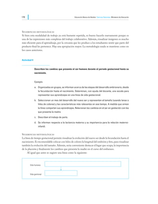 170                                                  Educación Básica de Adultos Ciencias Naturales Ministerio de Educación




Sugerencias metodológicas
Si bien esta modalidad de trabajo ya está bastante repetida, es bueno hacerlo nuevamente porque es
una de las expresiones más completas del trabajo colaborativo. Además, visualizar imágenes es mucho
más eficiente para el aprendizaje, por la cercanía que les produce a los estudiantes sentir que parte del
producto final les pertenece. Hay una apropiación mayor. La metodología usada se mantiene como en
los casos anteriores.


Actividad 4


              Describen los cambios que presenta el ser humano durante el período gestacional hasta su
              nacimiento.


              Ejemplo

              a.	 Organizados en grupos, se informan acerca de las etapas del desarrollo embrionario, desde
                 la fecundación hasta el nacimiento. Determinan, con ayuda del docente, una escala para
                 representar sus aprendizajes en una línea de vida gestacional.

              b.	 Seleccionan un mes del desarrollo del nuevo ser y representan el tamaño (usando lanas o
                 hilos de colores) y las características más relevantes en ese tiempo. A medida que arman
                 la línea comparten sus aprendizajes. Relacionan los cambios en el ser en gestación con los
                 que presenta la madre.

              c.	 Describen el trabajo de parto.

              d.	 Se informan respecto a la lactancia materna y su importancia para la relación materno-
                 infantil.


Sugerencias metodológicas
La línea de tiempo gestacional permite visualizar la evolución del nuevo ser desde la fecundación hasta el
nacimiento. Es recomendable colocar con hilos de colores la longitud del embrión y feto, para visualizar
también la evolución del tamaño. Además, sería conveniente destacar el lugar que ocupa, la importancia
de la placenta y finalmente los cambios que presenta la madre en el curso del embarazo.
	    Al igual que antes se sugiere una línea como la siguiente:



        Vida humana



        Vida gestional
 