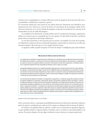 Tercer Nivel de Educación Básica Módulo VI: Salud y calidad de vida                                                179




veniente tener un papelógrafo en un lugar visible para anotar las preguntas de las personas del curso e
ir tachándolas a medida que la respuesta se genera.
Es conveniente señalar que somos parte de una cadena infecciosa. Interesante sería identificar cons-
tantemente los focos infecciosos, conocer las formas de transmisión de los patógenos desde el foco
infeccioso al humano. Las vías de entrada del patógeno, el período de incubación, los síntomas de la
enfermedad y las vías de salida del patógeno.
	     La recopilación de información se puede dividir entre los componentes del grupo, organizarla y
elaborar un resumen para ser compartido por los otros grupos. Es aquí donde el profesor o profesora
puede valorar la importancia del trabajo colaborativo.
	     La otra idea importante es tener presente que ser inmune o susceptible a la acción de los patóge-
nos depende de numerosos factores, incluyendo al genético, nutricional y la convivencia con ellos, por
mencionar algunos. De modo que no es tan simple referirse al tema.
	     La siguiente cartilla se puede incorporar al “Centro de Acopio” o multiplicarse para cada estudiante.




                                               Mecanismos de defensa contra las infecciones

    Las células que constituyen un organismo tienen moléculas en su membrana que son diferentes de las que poseen
    las células de otra especie, e incluso de las de otros miembros de la misma especie. De este modo, un organismo
    es capaz de conocer sus propias células y reconocer como ajenas a las de otros organismos. La defensa interna
    de un organismo depende de esta capacidad de distinguir entre lo ajeno y lo propio.

    Los agentes patógenos poseen en su superficie grandes moléculas que el cuerpo humano reconoce como extrañas.
    Por ejemplo, una bacteria puede llegar a tener más de 1.000 diferentes macromoléculas en su superficie. Cuando
    una bacteria vence las barreras inespecíficas y logra invadir un organismo, estas macromoléculas estimulan los
    mecanismos de defensa de dicho organismo, el que reconoce estos antígenos y gatilla una respuesta inmunitaria
    a través de la cual se producen los anticuerpos.

    Los mecanismos de defensa se dividen en inespecíficos y específicos. La defensa inespecífica impide la entrada
    de agentes patógenos al organismo, destruyendo rápida y eficazmente aquellas bacterias que llegan a superar
    las defensas externas. Un típico mecanismo de defensa inespecífico es la fagocitosis de bacterias invasoras. Los
    mecanismos de defensa específicos se caracterizan por ser de alta precisión y eficacia. En su conjunto se deno-
    minan “respuesta inmunitaria” y consisten en la generación de anticuerpos dirigidos hacia el tipo específico de
    agente patógeno que infecta al organismo. Estos anticuerpos son proteínas altamente específicas cuya función es
    reconocer los antígenos presentes en los patógenos y ayudar a su destrucción. En este sistema participan células
    especiales de nuestro cuerpo: los glóbulos blancos, defensores que segundo a segundo están protegiéndonos en
    forma silenciosa, eficaz y eficientemente.


Adaptado de: Villee, Claude, Biología. Solomón, E y otros, Biología.



Sería conveniente ofrecer a cada grupo la posibilidad de presentar la información obtenida y elaborar a
partir de aspectos considerados por cada uno de los grupos, un diagrama del mecanismo de defensa.
	     En relación a los glóbulos blancos, referirse a cuáles son sus características específicas (fagocito-
sis, por ejemplo), dónde se originan, dónde se localizan, cuál es su número y qué enfermedades se les
asocian. (Leucemia, alergias y las que algún estudiante conozca mejor por su propia experiencia).
 