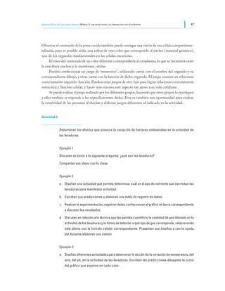 Segundo Nivel de Educación Básica Módulo II: Los seres vivos y su interacción con el ambiente                    47




Observar el contenido de la yema cocida también puede entregar una visión de una célula compartimen-
talizada, pues es posible aislar una esfera de otro color que corresponde al núcleo (material genético),
uno de los organelos fundamentales en las células eucariotas.
	     El resto del contenido de un color diferente correspondería al citoplasma, lo que se encuentra entre
la envoltura nuclear y la membrana celular.
	     Pueden confeccionar un juego de “memorice”, utilizando cartas con el nombre del organelo y su
correspondiente dibujo, y otras cartas con la función de dicho organelo. El juego consiste en relacionar
correctamente organelo-función. Pueden crear juegos de otro tipo para lograr relacionar correctamente
estructura y función celular, y hacer más cercano este aspecto tan ajeno a su vida cotidiana.
	     Se puede evaluar el juego realizado por los diferentes grupos, haciendo que otros grupos lo practiquen
y ellos evalúen si responde a las especificaciones dadas. Esta es también una oportunidad para evaluar
la creatividad de las personas al diseñar y elaborar juegos diferentes al indicado en la actividad.


Actividad 2


                Determinan los efectos que provoca la variación de factores ambientales en la actividad de
                las levaduras.


                Ejemplo 1

                Discuten en torno a la siguiente pregunta: ¿qué son las levaduras?

                Comparten sus ideas con la clase.


                Ejemplo 2

                a.	 Diseñan una actividad que permita determinar cuál es el tipo de nutriente que necesitan las
                     levaduras para manifestar actividad.

                b.	 Escriben sus predicciones y elaboran una tabla de registro de datos.

                c.	 Realizan la experimentación, registran datos, confeccionan el gráfico de barra correspondiente
                     y discuten los resultados.

                d.	 Discuten en relación a la técnica que les permita cuantificar la cantidad de gas liberado en la
                     actividad de las levaduras y la forma de detectar a qué tipo de gas corresponde, relacionando
                     este último con la función celular correspondiente. Presentan sus diseños y con la ayuda
                     del docente elaboran uno común.


                Ejemplo 3

                a.	 Diseñan diferentes actividades para determinar la acción de la variación de temperatura, del
                     aire, del ph, en la actividad de las levaduras. Escriben las predicciones dibujando la curva
                     del gráfico que esperan en cada caso.
 