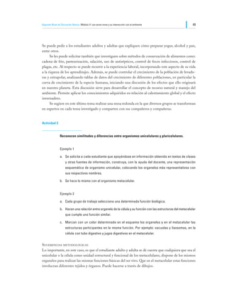 Segundo Nivel de Educación Básica Módulo II: Los seres vivos y su interacción con el ambiente                    49




Se puede pedir a los estudiantes adultos y adultas que expliquen cómo preparar yogur, alcohol y pan,
entre otros.
	     Se les puede solicitar también que investiguen sobre métodos de conservación de alimentos como:
cadena de frío, pasteurización, salación, uso de antisépticos, control de focos infecciosos, control de
plagas, etc. Al respecto se puede recurrir a la experiencia laboral, incorporando este aspecto de su vida
a la riqueza de los aprendizajes. Además, se puede controlar el crecimiento de la población de levadu-
ras y extrapolar, analizando tablas de datos del crecimiento de diferentes poblaciones, en particular la
curva de crecimiento de la especie humana, iniciando una discusión de los efectos que ello originará
en nuestro planeta. Esta discusión sirve para desarrollar el concepto de recurso natural y manejo del
ambiente. Permite aplicar los conocimientos adquiridos en relación al calentamiento global y el efecto
invernadero.
	     Se sugiere en este último tema realizar una mesa redonda en la que diversos grupos se transforman
en expertos en cada tema investigado y comparten con sus compañeros y compañeras.


Actividad 3


                Reconocen similitudes y diferencias entre organismos unicelulares y pluricelulares.


                Ejemplo 1

                a.	 Se solicita a cada estudiante que apoyándose en información obtenida en textos de clases
                     y otras fuentes de información, construya, con la ayuda del docente, una representación
                     esquemática de organismo unicelular, colocando los organelos más representativos con
                     sus respectivos nombres.

                b.	 Se hace lo mismo con el organismo metacelular.


                Ejemplo 2

                a.	 Cada grupo de trabajo selecciona una determinada función biológica.

                b.	 Hacen una relación entre organelo de la célula y su función con las estructuras del metacelular
                     que cumple una función similar.

                c.	 Marcan con un color determinado en el esquema los organelos y en el metacelular las
                     estructuras participantes en la misma función. Por ejemplo: vacuolas y lisosomas, en la
                     célula con tubo digestivo y jugos digestivos en el metacelular.


Sugerencias metodológicas
Lo importante, en este caso, es que el estudiante adulto y adulta se dé cuenta que cualquiera que sea el
unicelular o la célula como unidad estructural y funcional de los metacelulares, dispone de los mismos
organelos para realizar las mismas funciones básicas del ser vivo. Que en el metacelular estas funciones
involucran diferentes tejidos y órganos. Puede hacerse a través de dibujos.
 