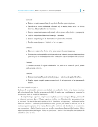 Segundo Nivel de Educación Básica Módulo II: Los seres vivos y su interacción con el ambiente                  61




                Ejemplo 2

                a.	 Colocan un papel negro en hojas de una planta. Escriben sus predicciones.

                b.	 Después de un tiempo comparan el color de la hoja en la zona privada de luz y en el resto
                     de la hoja. Dibujan y discuten los resultados.

                c.	 Colocan dos plantas iguales, una de ellas la cubren con una bolsa plástica y transparente.

                d.	 Colocan dos plantas iguales, una recibe agua y la otra no.

                e.	 Colocan dos plantas y una de ellas recibe el agua con sales minerales.

                f.	 Escriben las predicciones o hipótesis en los tres casos.


                Ejemplo 3

                a.	 Observan y registran los efectos de los factores controlados en las plantas.

                b.	 Discuten los resultados de las actividades prácticas. Los contrastan con las predicciones
                     y con la ayuda del docente establecen las condiciones que una planta necesita para vivir.


                Ejemplo 4

                En carteles que ubican en lugares visibles de la sala, colocan los beneficios que las plantas
                producen en el ambiente.


                Ejemplo 5

                a.	 Discuten los efectos futuros de la tala de bosques y la destrucción gradual de la flora.

                b.	 Diseñan alguna campaña para crear conciencia de la importancia de las plantas en la
                     biosfera.


Sugerencias metodológicas
Cada una de las actividades anteriores está diseñada para analizar los efectos en las plantas sometidas
a la privación de la luz, clorofila, agua y exceso de CO2. Se sugiere que a medida que se presentan los
resultados se arme un modelo de fotosíntesis.
	     Es importante que la persona comprenda que la planta usa solo el hidrógeno del agua, eliminando
el oxígeno al ambiente. Que el CO2 que ingresa se combina con el hidrógeno del agua para sintetizar
el nutriente. Que uno de los tantos productos de la fotosíntesis es la glucosa y a medida que ésta se
fabrica se comienza a combinar químicamente con otras glucosas para formar el almidón, una de las
sustancias químicas propias de las plantas. Es uno de los nutrientes más abundantes en los alimentos
que consumimos a diario. Posteriormente con las sales minerales que ha absorbido, la planta elabora
todas las sustancias necesarias para formar sus estructuras y realizar cada una de las funciones que lo
identifican como ser vivo.
 