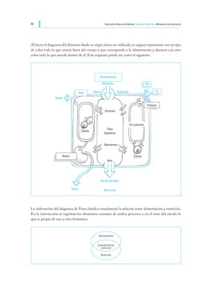 70                                                        Educación Básica de Adultos Ciencias Naturales Ministerio de Educación




Al hacer el diagrama del alimento desde su origen hasta ser utilizado, se sugiere representar con un tipo
de color todo lo que ocurre fuera del cuerpo y que corresponde a la alimentación y destacar con otro
color todo lo que sucede dentro de él. Este esquema puede ser como el siguiente:




                                                   Alimentación

                                                        Alimento                               CO2

                                                Boca                 Nutrición                          O2
                                     Piel
                 Sudor

                                                                                                Pulmón
                                                          Enzimas



                                                                                 Circulación
                                                           Tubo
                                       Célula
                                                         digestivo


                                                         Nutrientes


                     Riñón                                                          Célula
                                                            Ano




                                                       Heces fecales

                             Orina                       Nutrición




La elaboración del diagrama de Venn clarifica visualmente la relación entre alimentación y nutrición.
En la intersección se registran los elementos comunes de ambos procesos y en el resto del círculo lo
que es propio de uno y otro fenómeno.
 