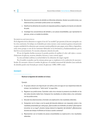74                                                      Educación Básica de Adultos Ciencias Naturales Ministerio de Educación




              b.	 Reconocen la presencia de almidón en diferentes alimentos. Anotan sus predicciones, sus
                 observaciones y contrastan predicciones con resultados.

              c.	 Clasifican los alimentos de acuerdo a la respuesta positiva y negativa a la mezcla con solución
                 de yodo.

              d.	 Investigan las características del almidón y con piezas ensamblables, que representan la
                 glucosa, arman un modelo de almidón.


Sugerencias metodológicas
En la digestión de los alimentos se sugiere el uso de “un modelo” que permita al docente extrapolar con
los otros nutrientes. Se trabaja con el almidón por varias razones: como sustancia química está presente
en gran cantidad de los alimentos que consume nuestra población: pan, papas, arroz, fideos y legumbres,
entre otros; porque es uno de los nutrientes fabricados en la fotosíntesis y, fundamentalmente, por lo
fácil de su reconocimiento. Se necesita solamente solución de yodo.
	     El uso de líquidos facilita reconocer la prueba positiva al cambiar el color café rojizo a oscuro.
(Soluciones de glucosa, sacarosa, almidón, fructosa y como control, agua).
	     La otra actividad confirma su exclusividad en los alimentos de origen vegetal.
	     En el modelo se pueden usar las mismas piezas que se emplearon en la confección de macromo-
léculas. Es necesario colocar el nombre de glucosa a la unidad estructural del almidón (una molécula
de almidón puede estar formada por cientos de glucosas: 1.000, 3.000 o más).


Actividad 3


              Realizan la digestión del almidón en la boca.


              Ejemplo

              a.	 En grupos colocan una miga de pan con saliva y otra con agua en sus respectivos tubos de
                 ensayo. Los mantienen a “baño maría” en agua tibia.

              b.	 Registran sus predicciones. Controlan cada cinco minutos la presencia de almidón en los
                 dos tubos durante media hora. Comparan los resultados en ambos tubos y los contrastan
                 con las predicciones.

              c.	 Discuten las observaciones y formulan una explicación a los resultados obtenidos.

              d.	 Comparten con la clase y con la ayuda del docente elaboran una respuesta común a los
                 resultados presentados por cada grupo. ¿Qué sucedió con el almidón y la saliva? ¿Qué esperan
                 encontrar en su lugar? ¿Cuánto tiempo demoró la digestión del almidón? ¿Mantenemos
                 durante ese tiempo el alimento en la boca cuando comemos?

              e.	 Representan con el modelo de piezas ensamblables su explicación a los resultados
                 obtenidos.
 