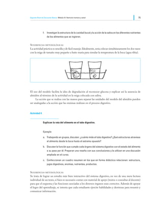 Segundo Nivel de Educación Básica Módulo III: Nutrición humana y salud                                             75




                f.	 Investigan la estructura de la cavidad bucal y la acción de la saliva en los diferentes nutrientes
                     de los alimentos que se ingieren.


Sugerencias metodológicas
La actividad práctica es sencilla y de fácil manejo. Idealmente, sería colocar simultáneamente los dos vasos
con la miga de tamaño muy pequeño a baño maría para simular la temperatura de la boca (agua tibia).




El uso del modelo facilita la idea de degradación al reconocer glucosa y explicar así la ausencia de
almidón al término de la actividad en la miga colocada con saliva.
	    La acción que se realiza con las manos para separar las unidades del modelo del almidón pueden
ser analogadas a la acción que las enzimas realizan en el proceso digestivo.


Actividad 4


                Explican la ruta del alimento en el tubo digestivo.


                Ejemplo

                a.	 Trabajando en grupos, discuten: ¿cuánto mide el tubo digestivo? ¿Qué estructuras atraviesa
                     el alimento desde la boca hasta el extremo opuesto?

                b.	 Discuten la función que cumple cada órgano del sistema digestivo con el estado del alimento
                     a su paso por él. Preparan una reseña con sus conclusiones y la utilizan en una discusión
                     ampliada en el curso.

                c.	 Confeccionan un cuadro resumen en los que en forma didáctica relacionan: estructura,
                     jugos digestivos, enzimas, nutrientes, productos.


Sugerencias metodológicas
Se trata de lograr un estudio más bien interactivo del sistema digestivo, en vez de una mera lectura
individual de un texto, si bien es necesario contar con material de apoyo (textos o consultas al docente)
para que el esquema y las funciones asociadas a los diversos órganos sean correctos. Además de apoyar
el logro del aprendizaje, se intenta que cada estudiante ejercite habilidades y destrezas para resumir y
comunicar información.
 