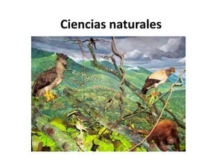 Ciencias naturales
 